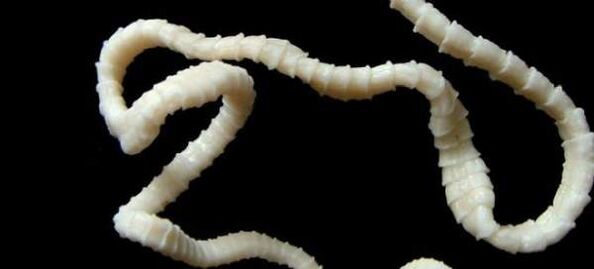 Jaučio kaspinuočiai